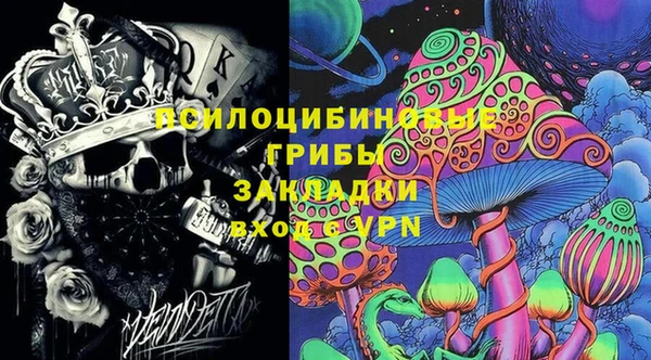 индика Балахна