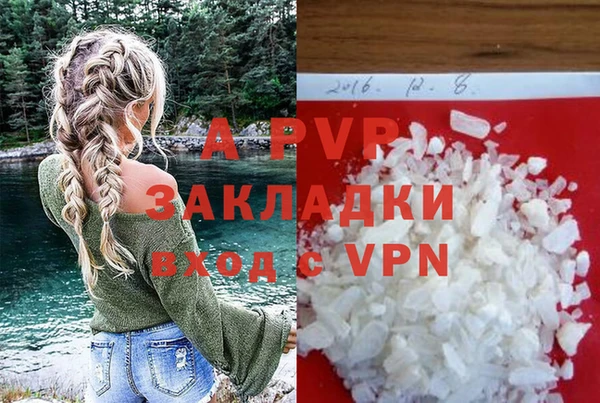 индика Балахна