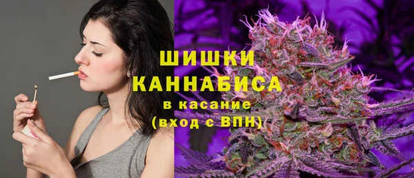 индика Балахна