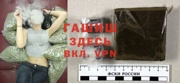 индика Балахна