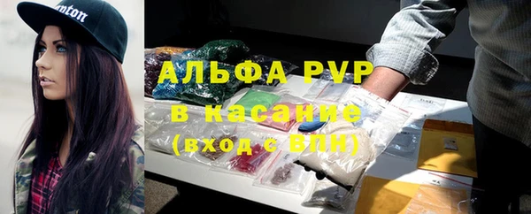 индика Балахна