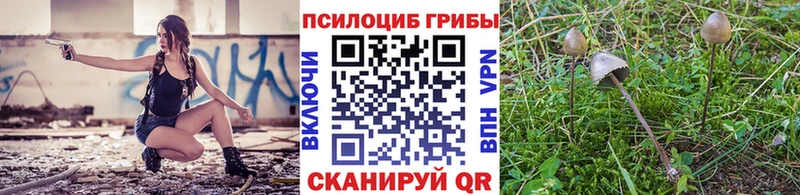 Купить  Константиновск  Галлюциногенные грибы ЛСД 